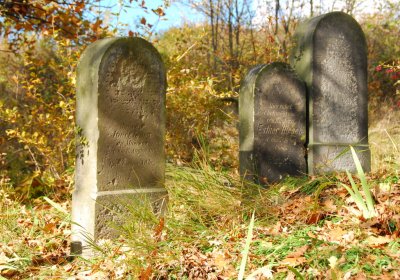 Sedláček Hugo, 2009