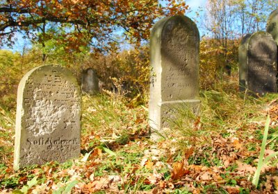 Sedláček Hugo, 2009