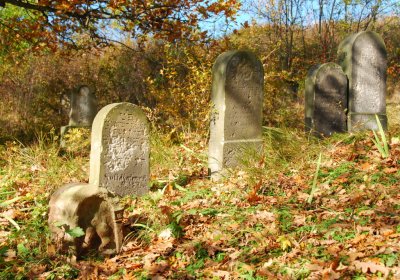 Sedláček Hugo, 2009