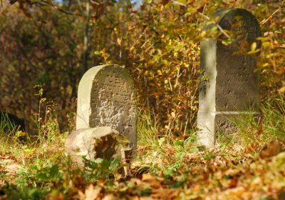 Sedláček Hugo, 2009