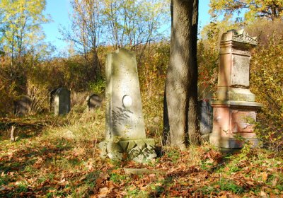 Sedláček Hugo, 2009