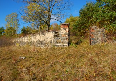 Sedláček Hugo, 2009