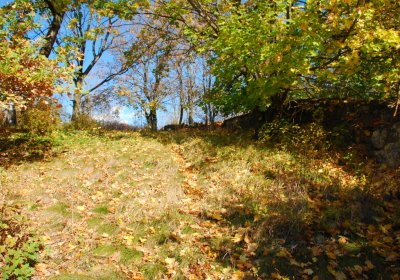 Sedláček Hugo, 2009