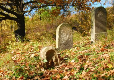 Sedláček Hugo, 2009