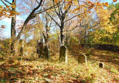 Sedláček Hugo, 2009