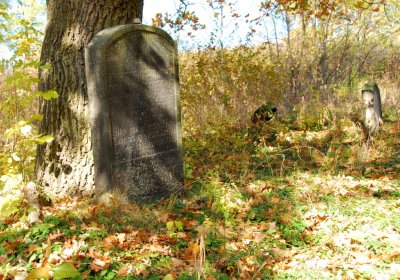 Sedláček Hugo, 2009