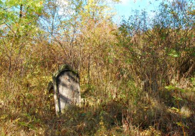 Sedláček Hugo, 2009