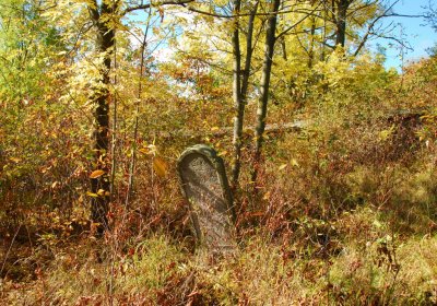 Sedláček Hugo, 2009