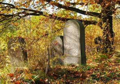 Sedláček Hugo, 2009