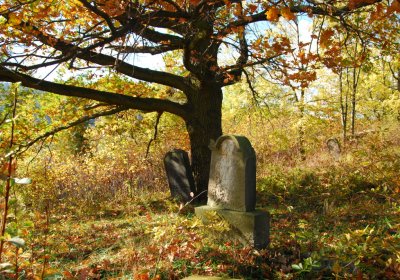 Sedláček Hugo, 2009