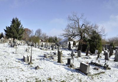 Sedláček Hugo, 2016