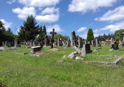 Kmínek Michal, 2019