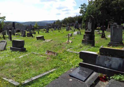 Kmínek Michal, 2019