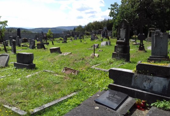 Kmínek Michal, 2019