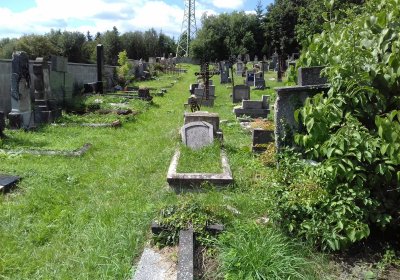 Kmínek Michal, 2019