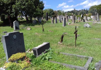 Kmínek Michal, 2019