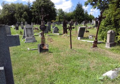 Kmínek Michal, 2019