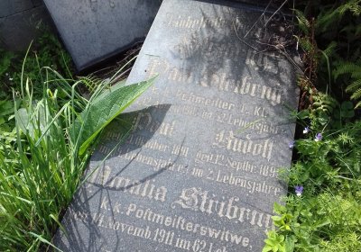 Kmínek Michal, 2019