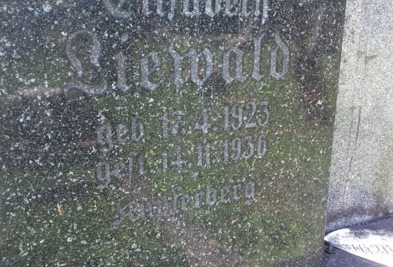 Kmínek Michal, 2019