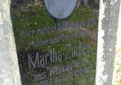 Kmínek Michal, 2019