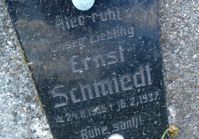 Kmínek Michal, 2019