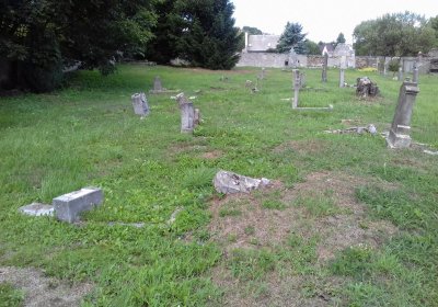 Kmínek Michal, 2019