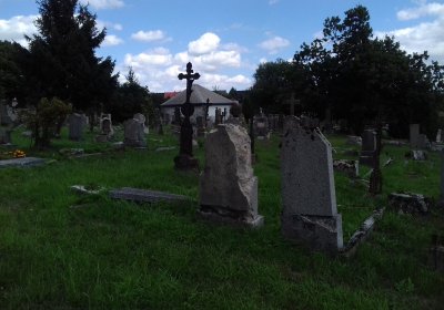 Kmínek Michal, 2019