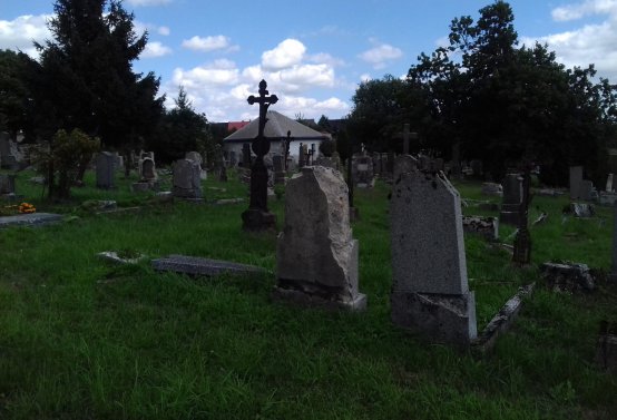 Kmínek Michal, 2019