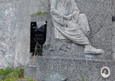 Kmínek Michal, 2019