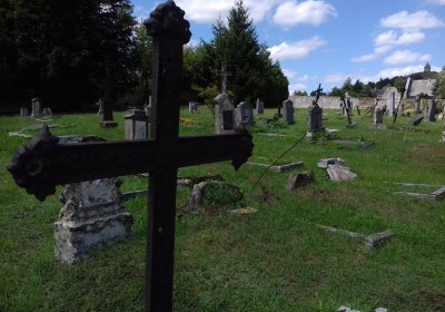 Kmínek Michal, 2019