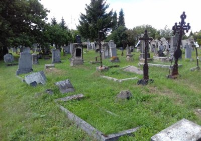 Kmínek Michal, 2019