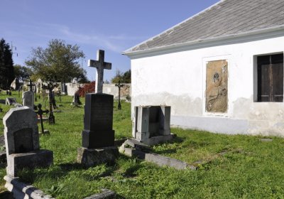 Sedláček Hugo, 2014