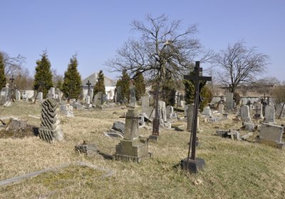 Sedláček Hugo, 2014