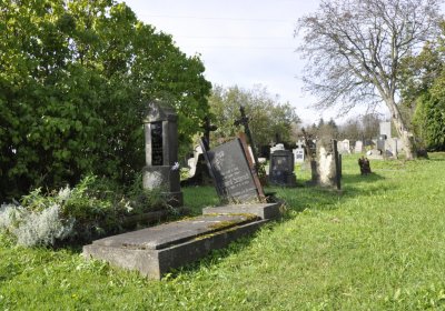 Sedláček Hugo, 2014