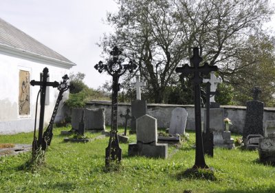 Sedláček Hugo, 2014