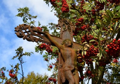 Měděnec, Omnium, 2020