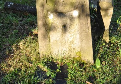 Měděnec, Omnium, 2020