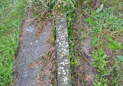 Měděnec, Omnium, 2020