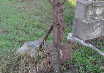 Měděnec, Omnium, 2020