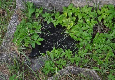 Měděnec, Omnium, 2020