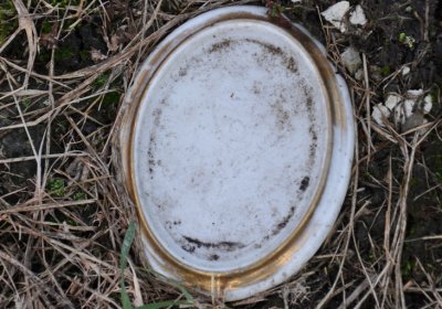 Měděnec, Omnium, 2020