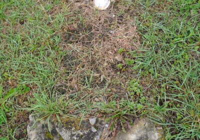 Měděnec, Omnium, 2020