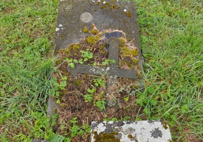 Měděnec, Omnium, 2020