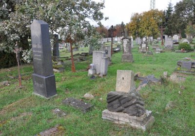 Měděnec, Omnium, 2020