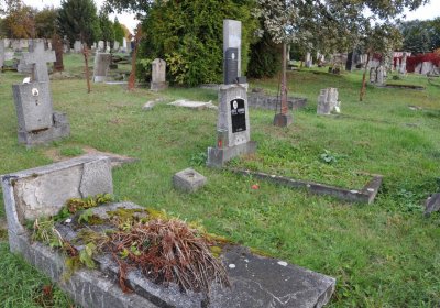 Měděnec, Omnium, 2020