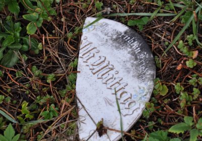 Měděnec, Omnium, 2020