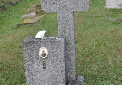 Měděnec, Omnium, 2020