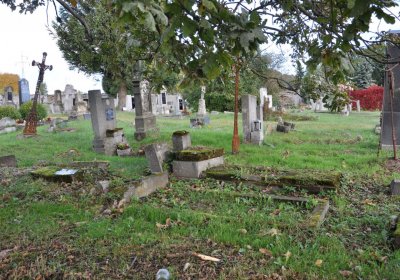 Měděnec, Omnium, 2020