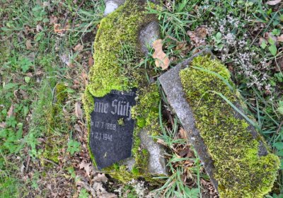 Měděnec, Omnium, 2020