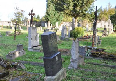 Měděnec, Omnium, 2020